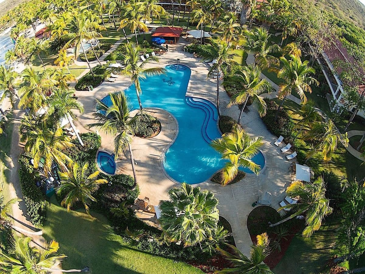 Aerial view of the swimming pool and palms at Copamarina Beach Resort