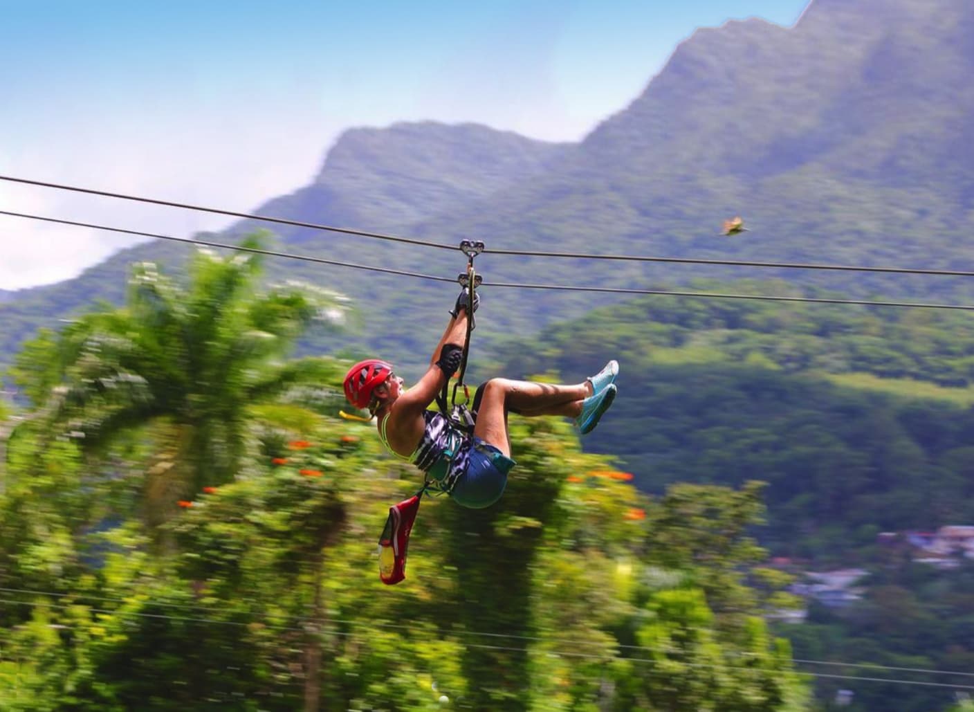 Guest ziplining through tropical mountain scenery, from Yunque Ziplining