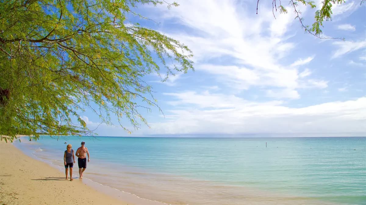 Caribe Hilton - Holiday Package - $25 Credit/Night hotel deal in San Juan, Puerto Rico